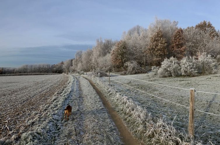 Vakantiehuisje in Holsbeek