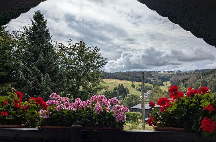 Vakantiehuis in Neuhaus OT PIESAU