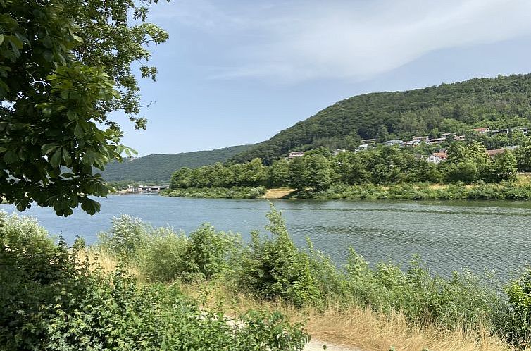 Vakantiehuis Tiny Haus Altmühlblick II