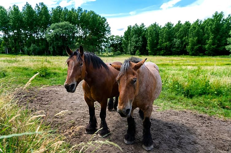 Vakantiehuisje in Sint-Pieters-Leeuw