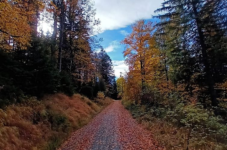 Huisje in Neureichenau