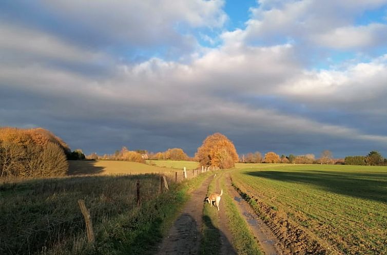 Huisje in Dworp