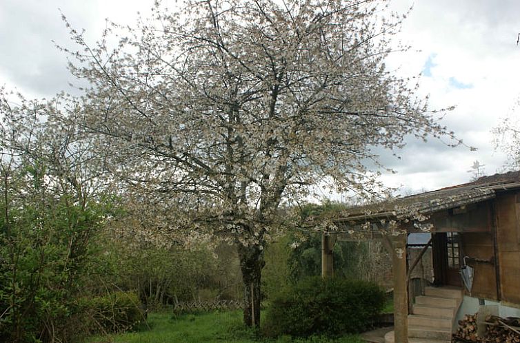 Vakantiehuis in Couleuvre