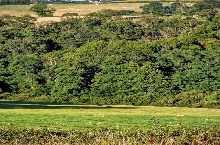 Gite Bourgogne rust & natuur