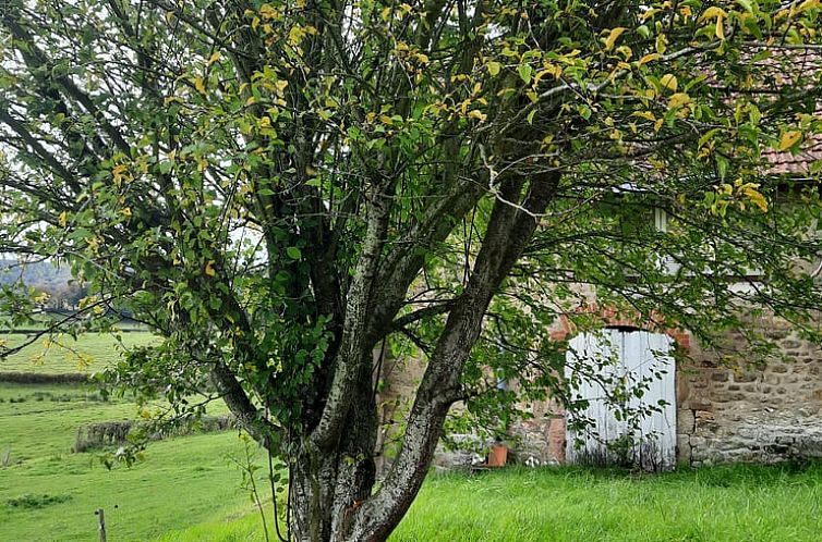 Vakantiehuisje in Saint Didier sur Arroux