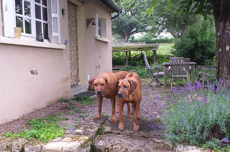 Huisje in Onlay