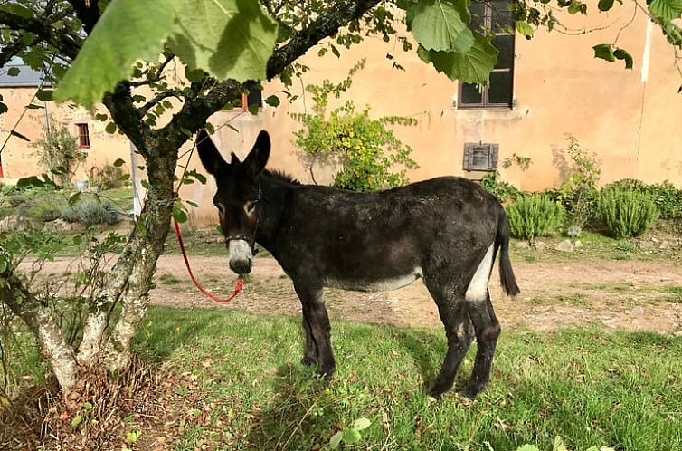 Huisje in Bussières