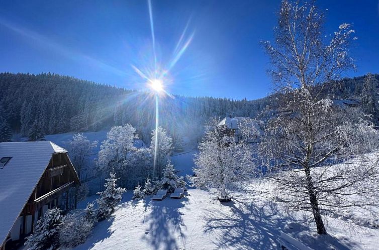 Schwarzwald Aparthotel Kräutle