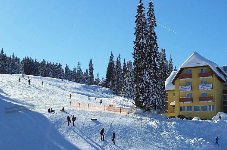 Burg Hotel Feldberg