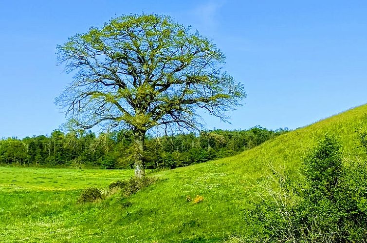 Vakantiehuisje in Vendenesse sur Arroux