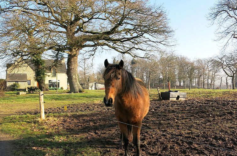 Vakantiehuis Le Petit Maître