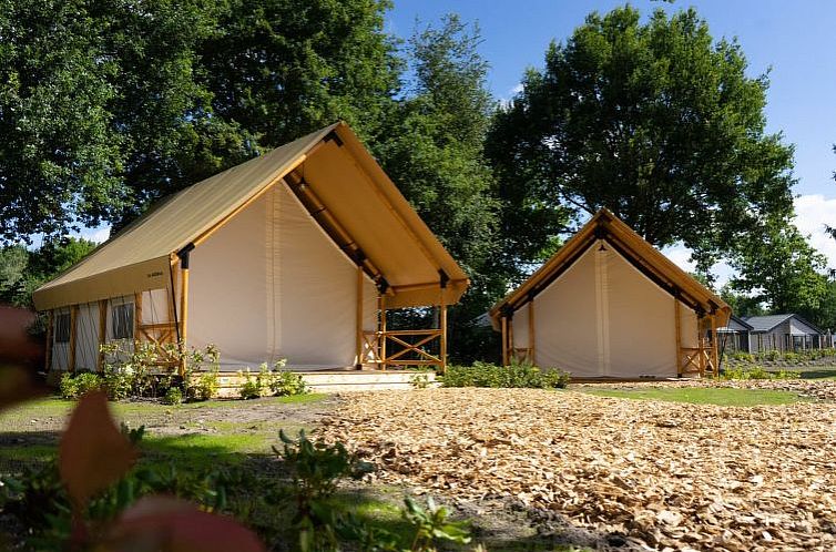 Vakantiehuis Glampingtent Kiezel Lodge 4