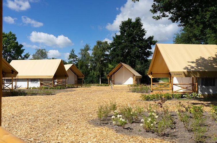 Vakantiehuis Glampingtent Kiezel Lodge 4