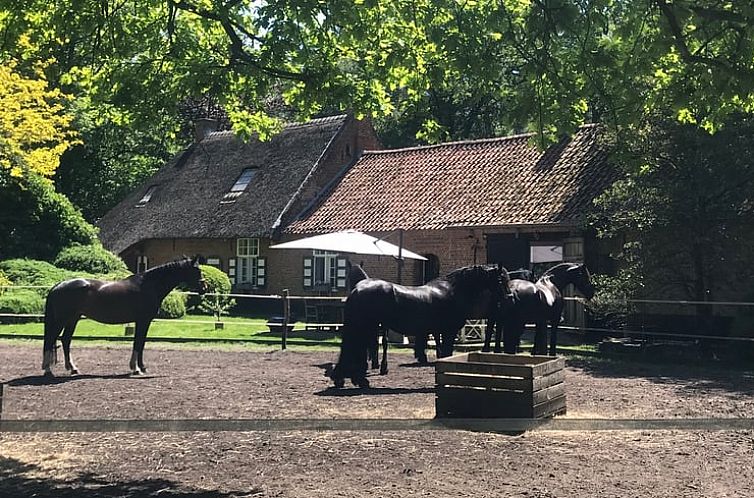 Vakantiehuisje in Zoersel