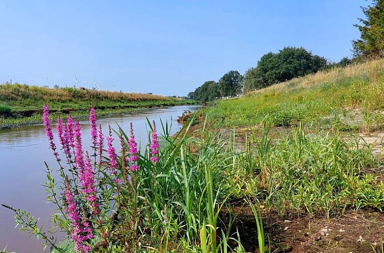 Vakantiehuisje in Kasterlee