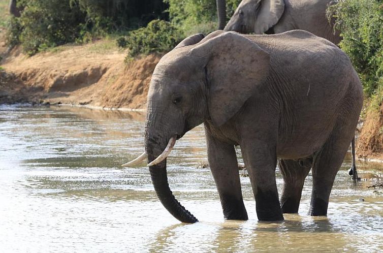 Elephants Footprint Lodge