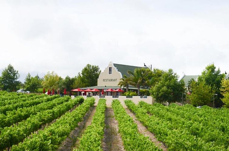 Skilpadvlei Wine Farm