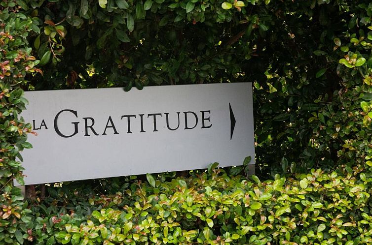 Avemore Lagratitude No 6