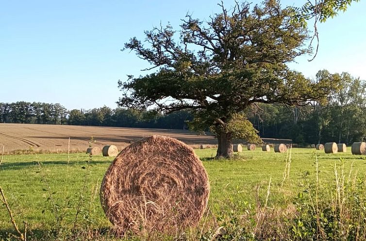 Huisje in Parsac-Rimondeix