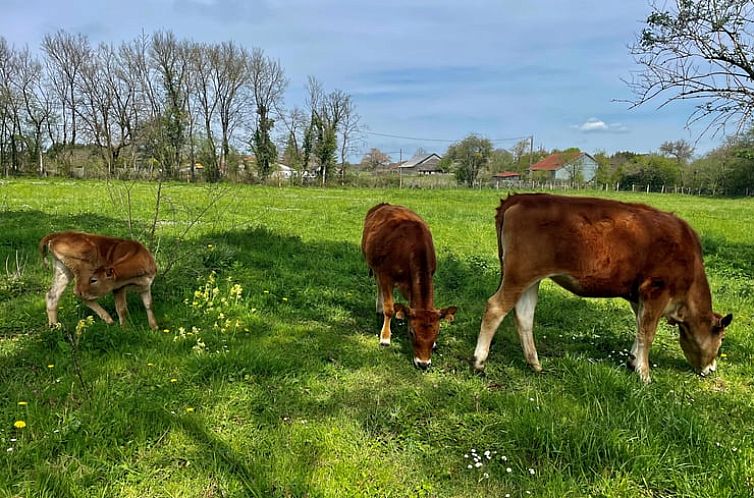 Vakantiehuisje in Sainte-Gemme