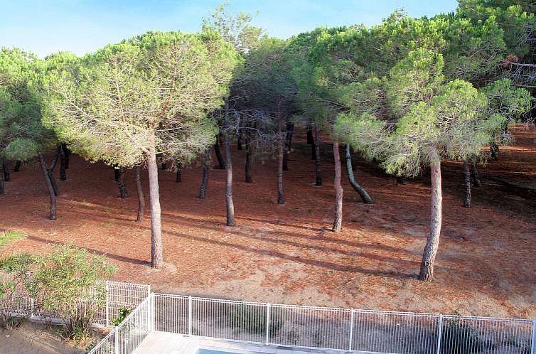 Appartement Les Pins Parasols