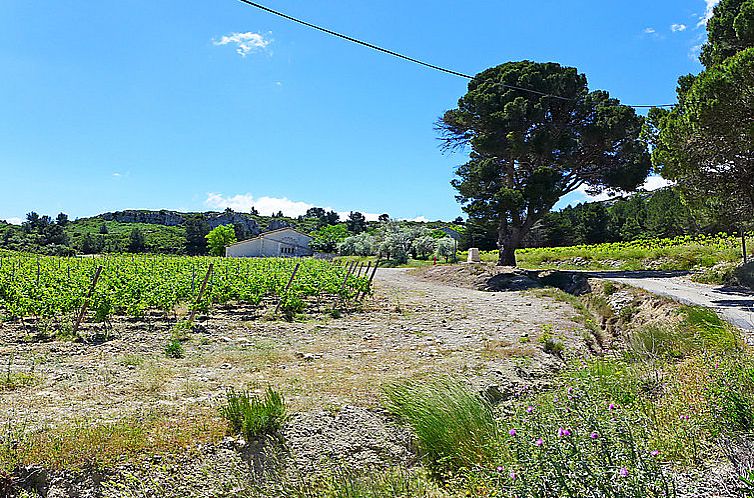 Appartement Les Vendanges