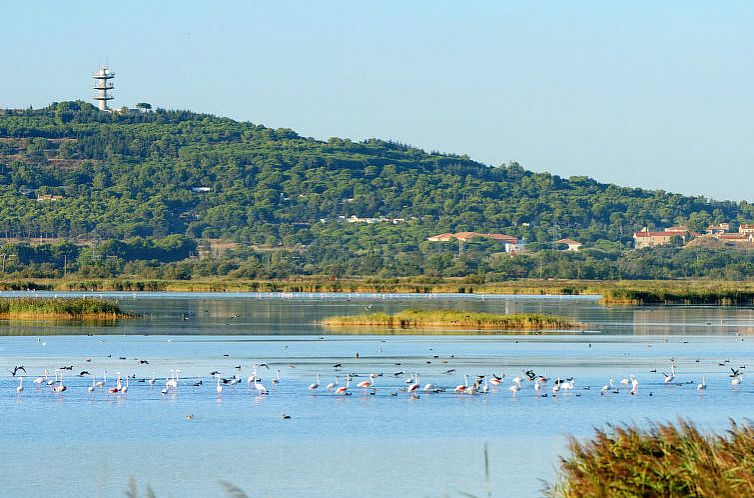 Appartement Les Rivages de Rochelongue