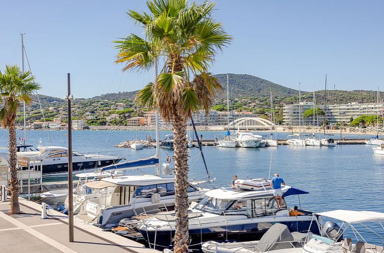 Appartement Les Pins Dorés