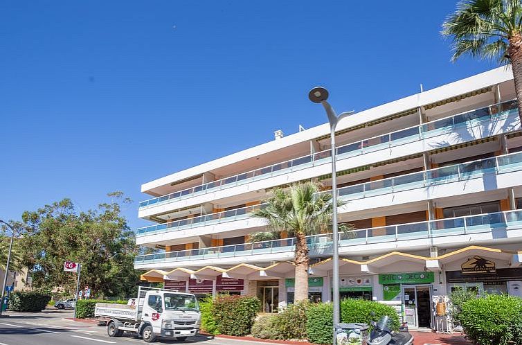 Appartement Les Palmiers