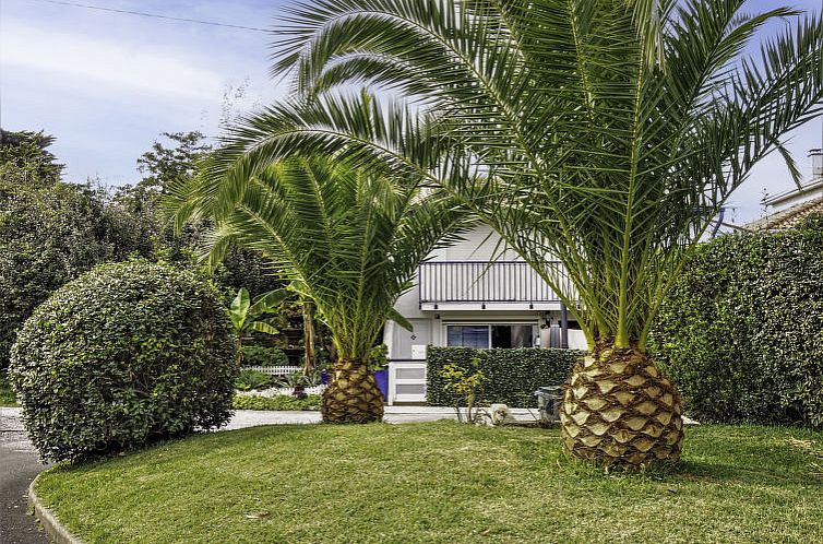 Appartement Le Fronton