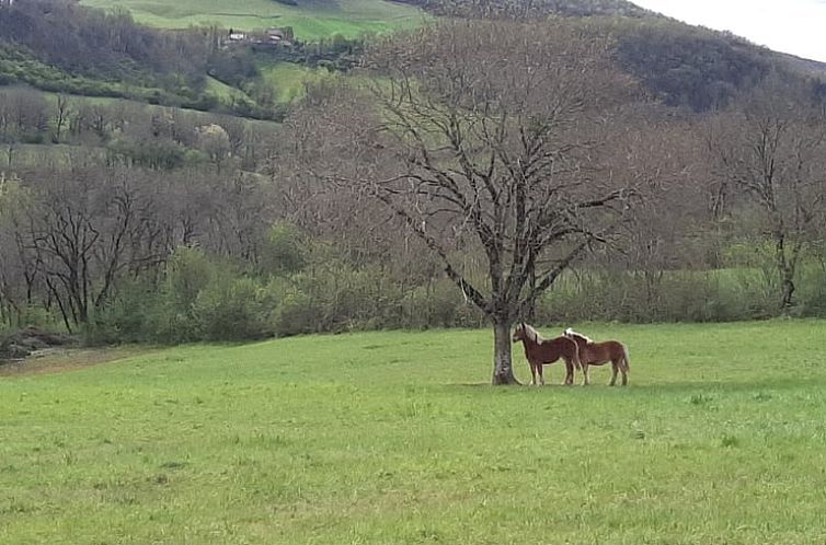 Vakantiehuisje in Verfeil sur Seye