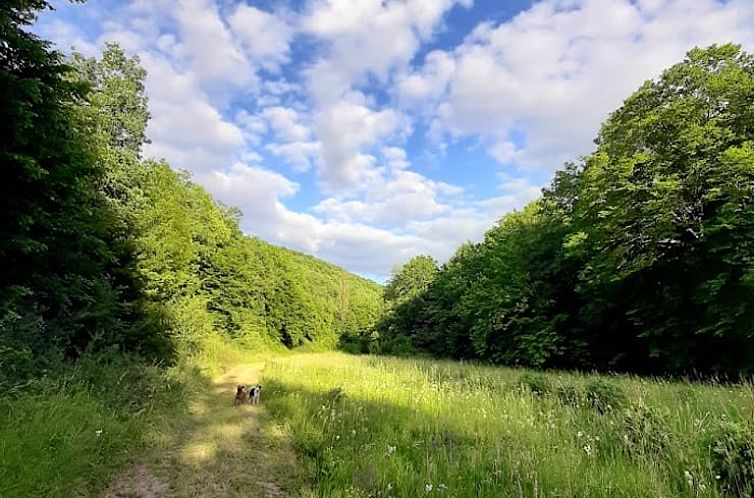 Vakantiehuisje in Verfeil sur Seye