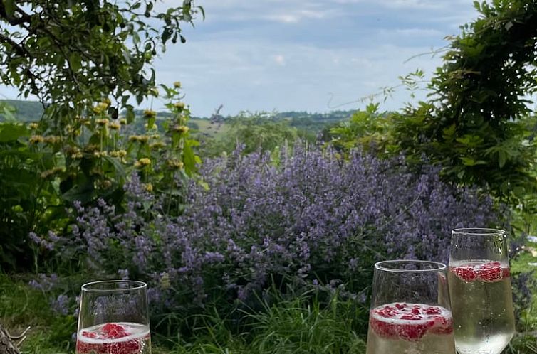 Vakantiehuisje in le bas segala