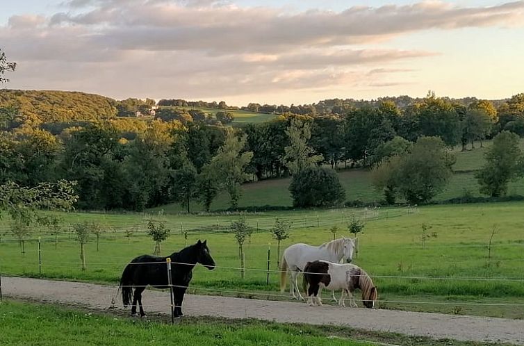 Vakantiehuisje in le bas segala