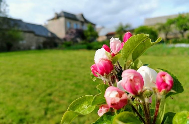 Vakantiehuisje in le bas segala