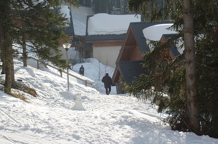 Chalet - Oz-en-Oisans