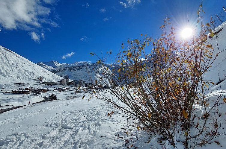 Appartement Le Grand Tichot A et B (Val Claret)