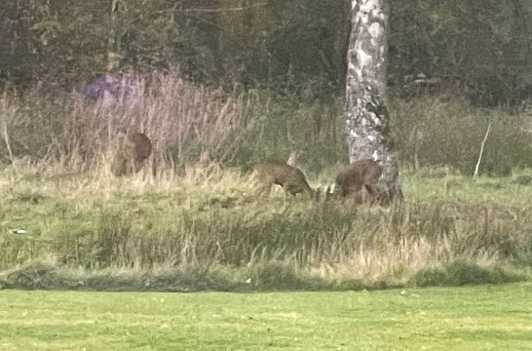 Vakantiehuisje in Lommel