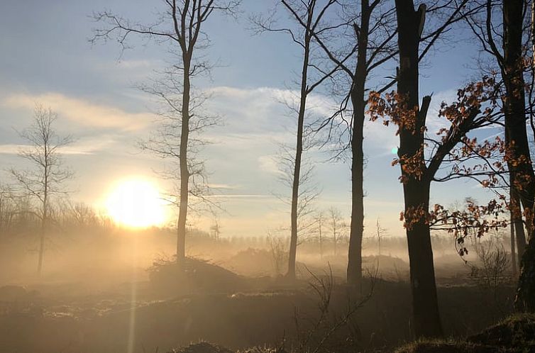 Vakantiehuisje in Lommel