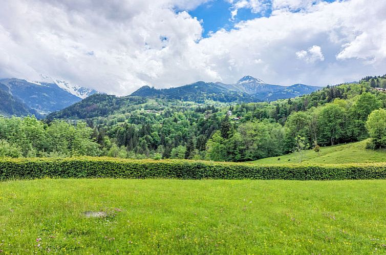 Appartement Le Parc du Mont Joly