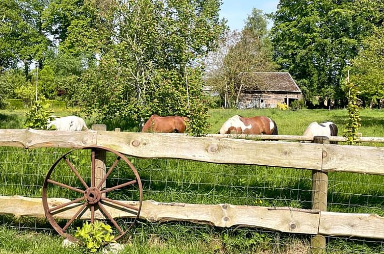 Vakantiehuisje in Bénarville