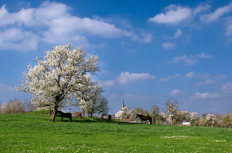 Hof van Kalenberg