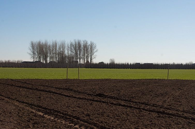 'Op de Borgt' met finse grill kota