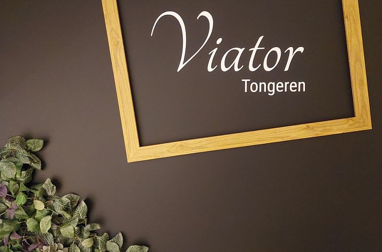 B&B Viator Tongeren