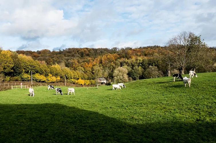 Vakantiehuisje in Teuven