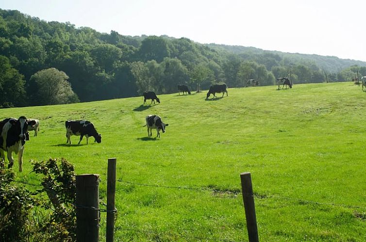 Vakantiehuisje in Teuven