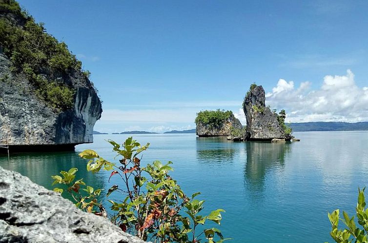 Raja Ampat Dive Lodge