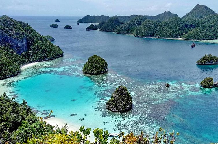 Raja Ampat Dive Lodge