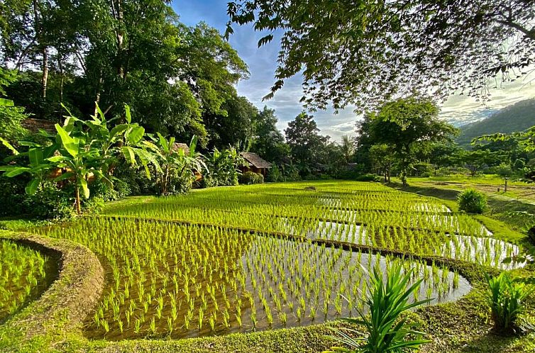 Fern Resort Mae Hong Son