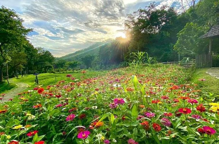 Fern Resort Mae Hong Son